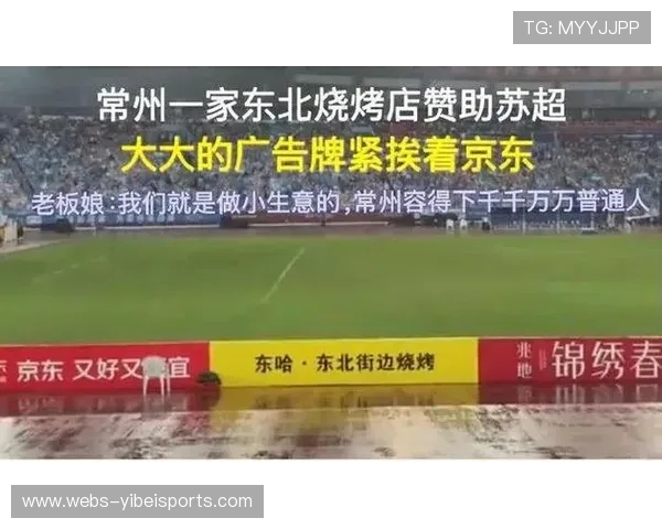 赞助体系依托多维度曝光数据整合，实现品牌广告资源的精准跨屏投放。